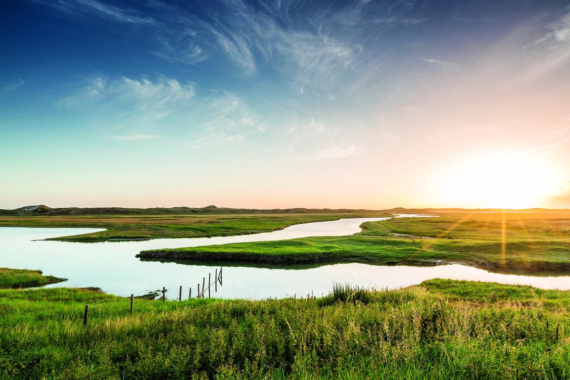 Het Zwin Natuurpark